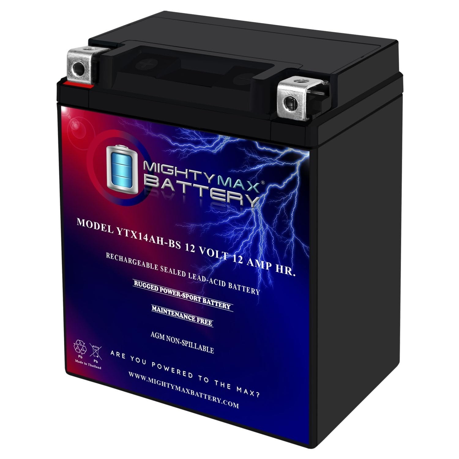 Mighty Max Battery YTX14AH-BS - 12 Volt 12 AH, 210 CCA, Rechargeable Maintena...