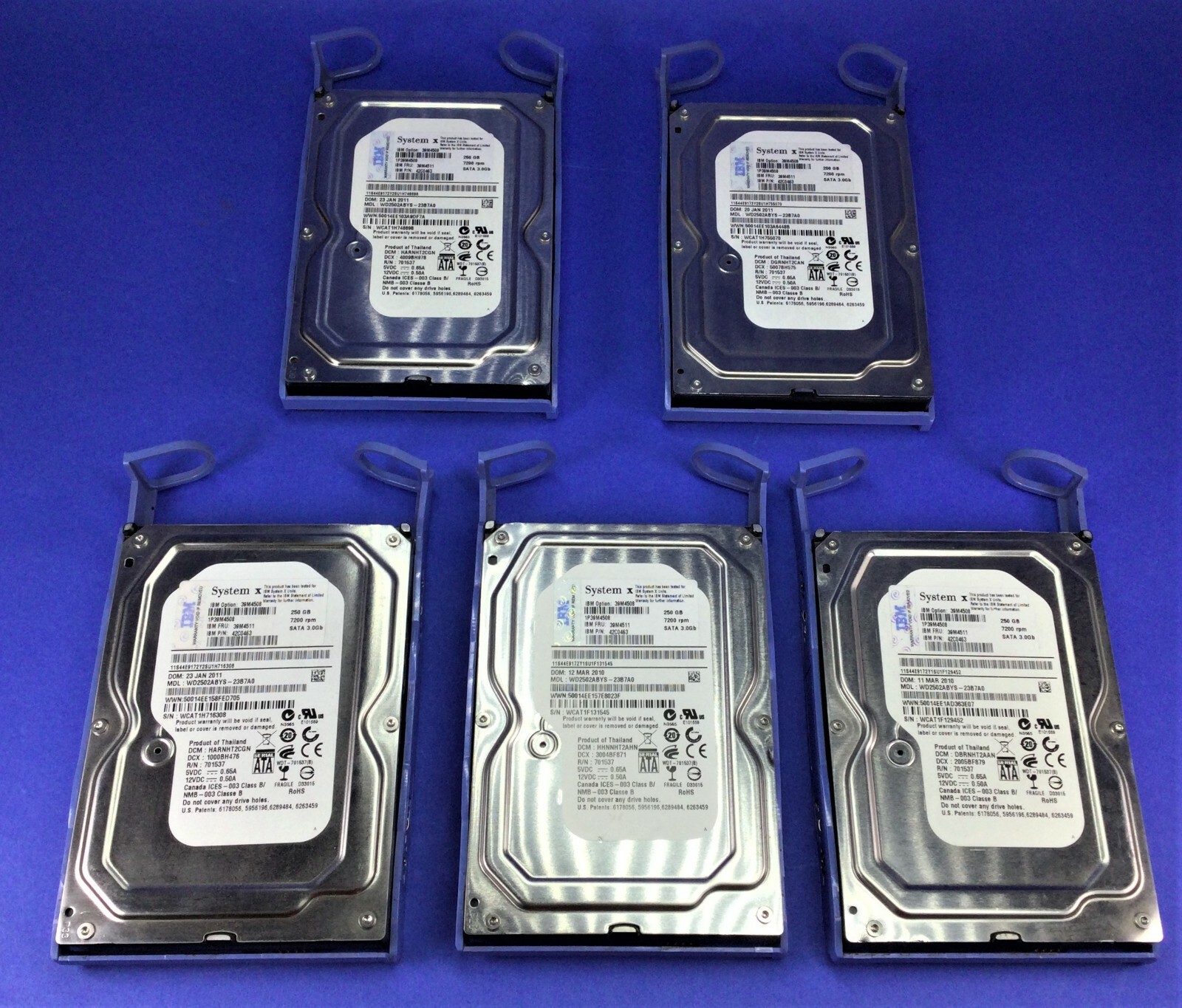 LOT OF 5 - IBM System X 250GB 7200RPM 3.5" 1P39M4508 FRU: 39M4511 P/N: 42C0463