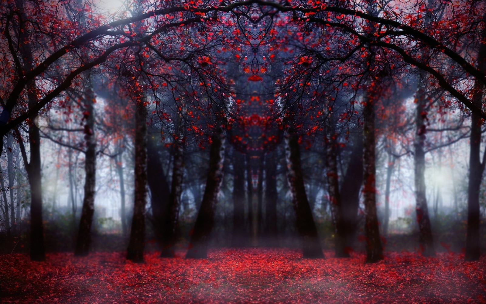 Landscape trees fall symmetry forest plants Custom Gaming Mat Desk