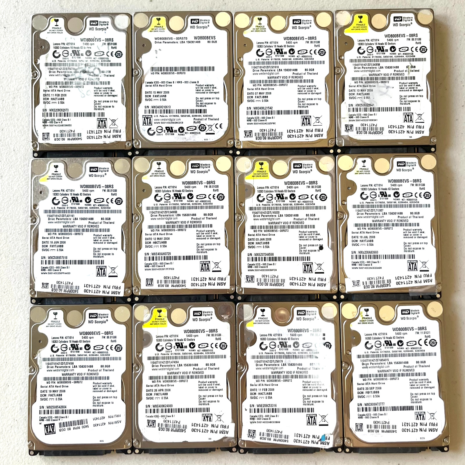 [LOT OF 12] Western Digital WD Scorpio 80GB 2.5 SATA Hard Drive WD800BEVS TESTED