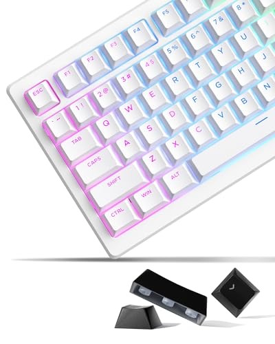 XVX Double Shot PBT Keycap Set 60/75/100% Compatible - Shine-Through Keycaps
