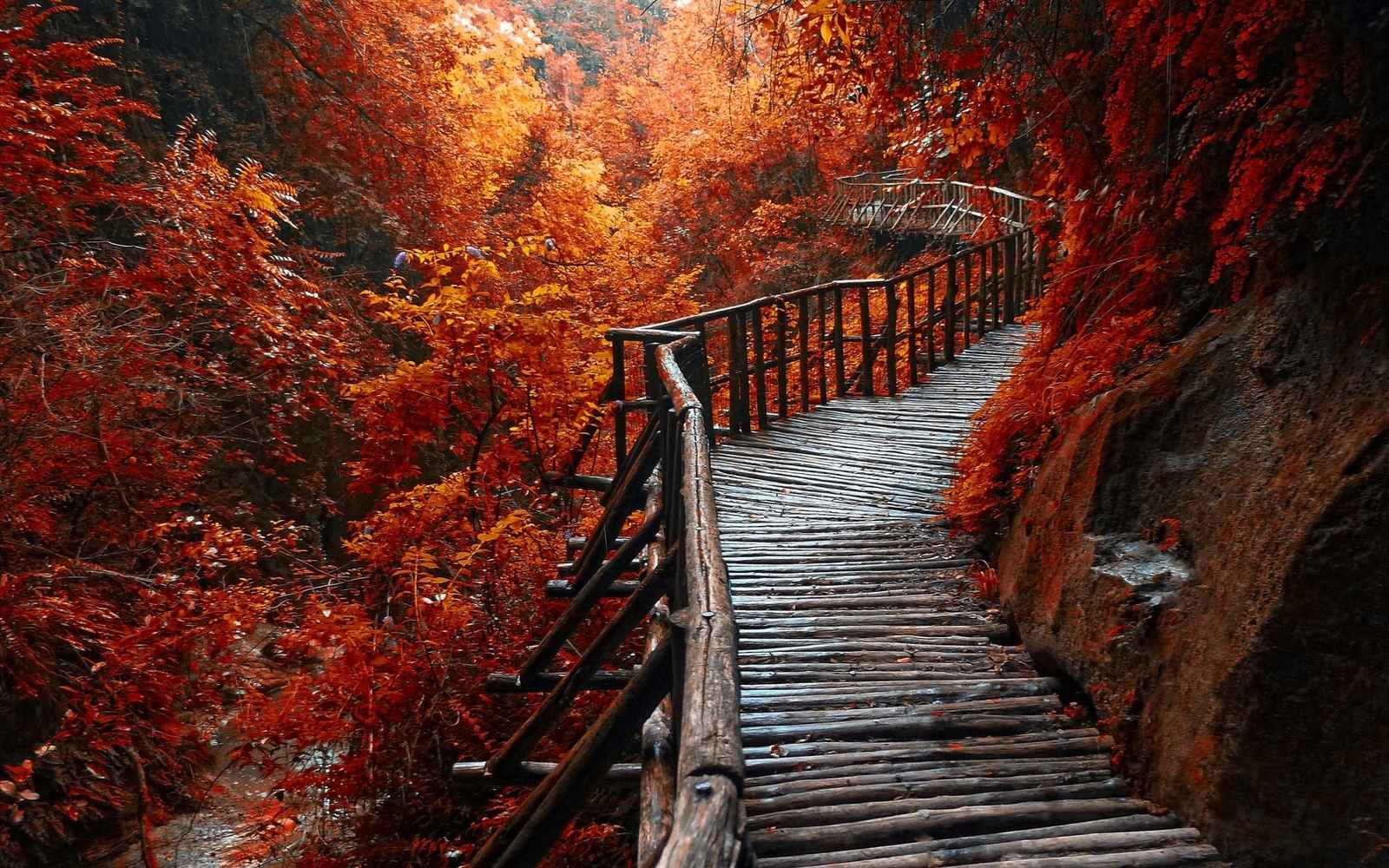 Landscape nature river forest fall walkway path trees Custom Gaming Mat Desk
