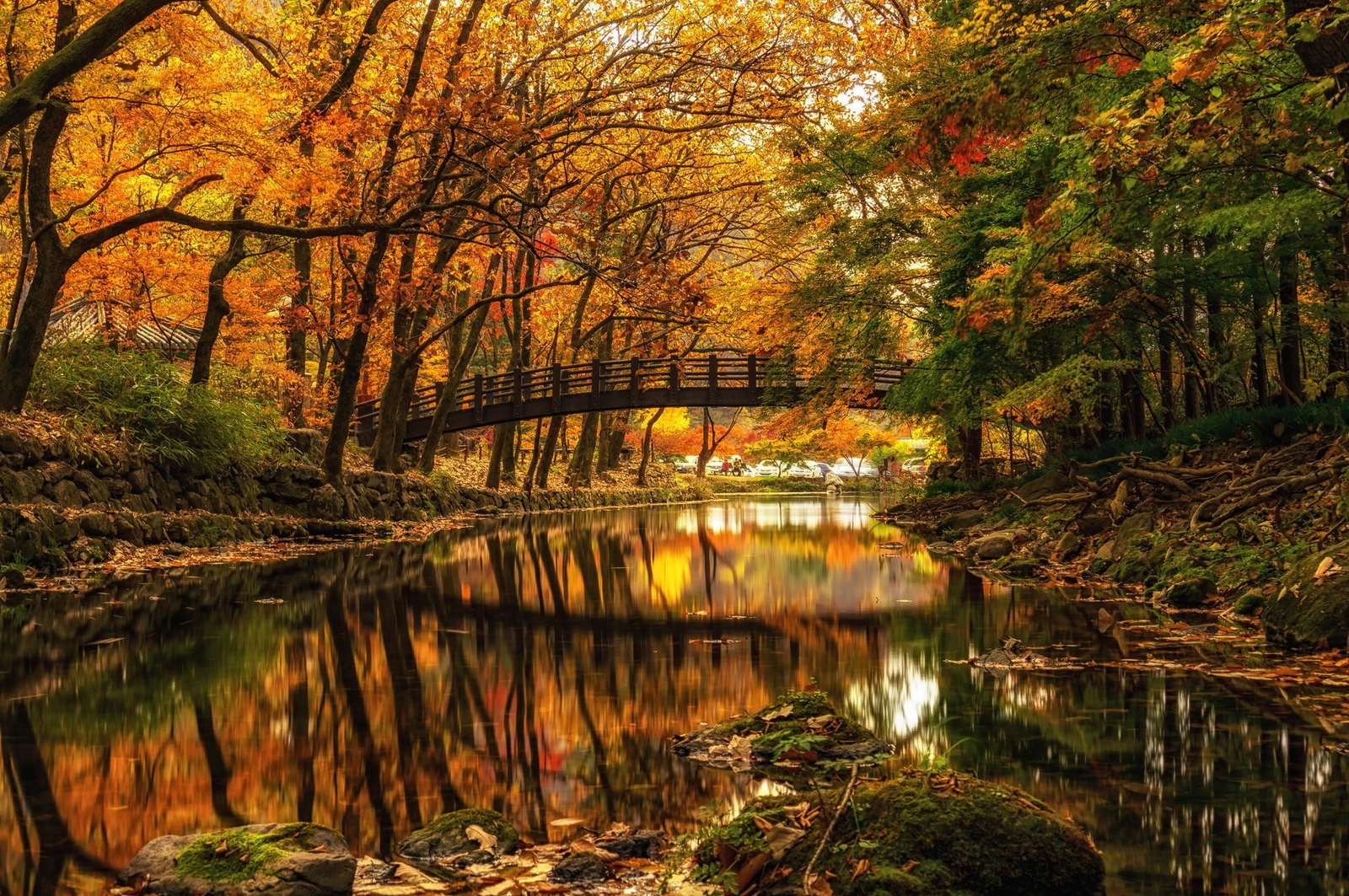 Landscape nature water trees forest river bridge fall Custom Gaming Mat Desk