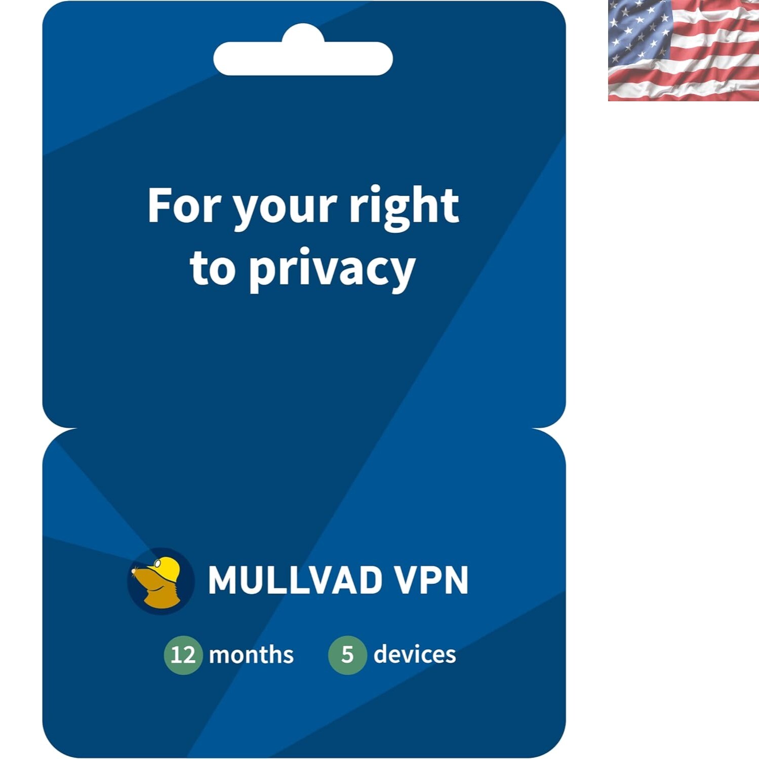 12- VPN Subscription for 5 Devices | Effortless Online Privacy Protection