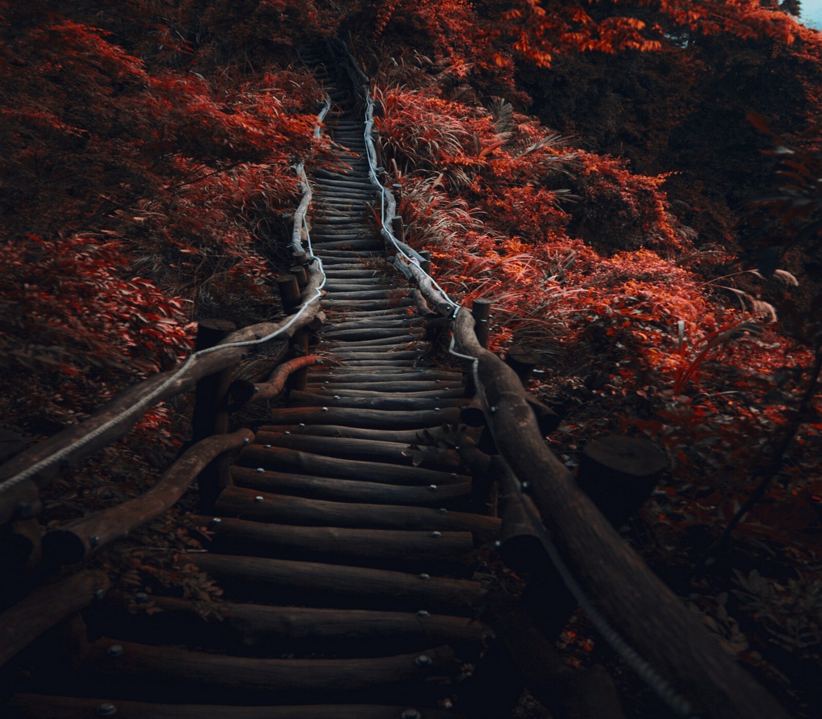 Landscape nature path dark trees fall shrubs red stairs Custom Gaming Mat Desk