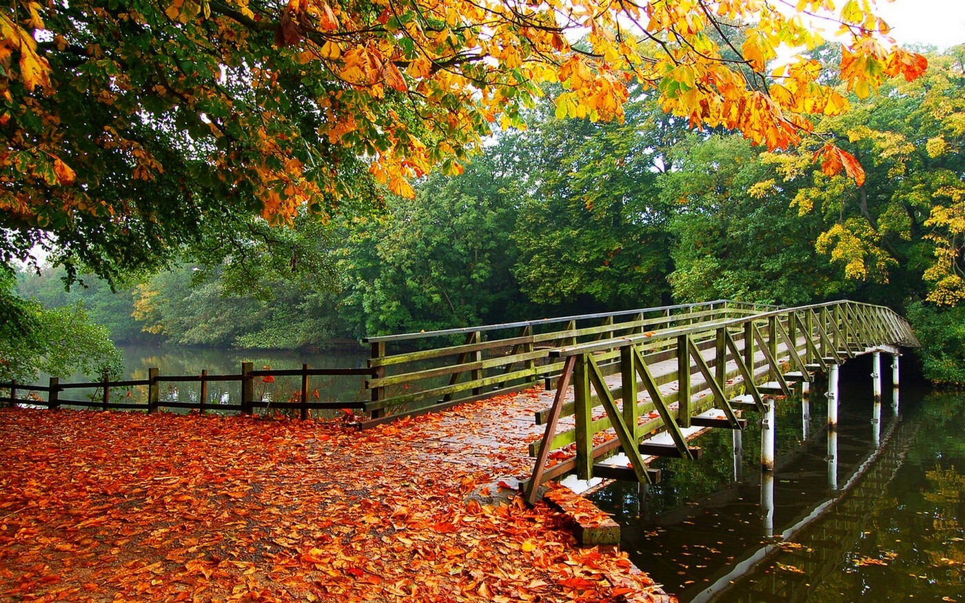 Landscape nature leaves fall trees bridge walkway river Custom Gaming Mat Desk