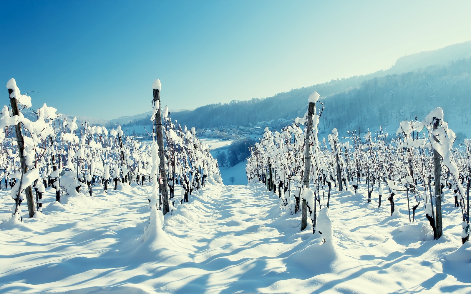 Landscape winter snow cold Custom Gaming Mat Desk