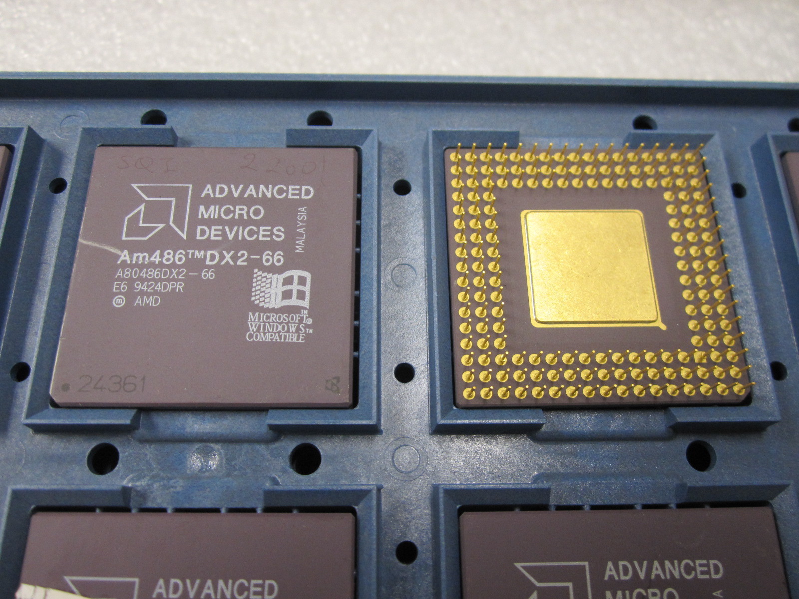 AMD Vintage Am486DX2-66 Ceramic Gold Pin CPU  Processor AM486DX2-66 Made in 1994