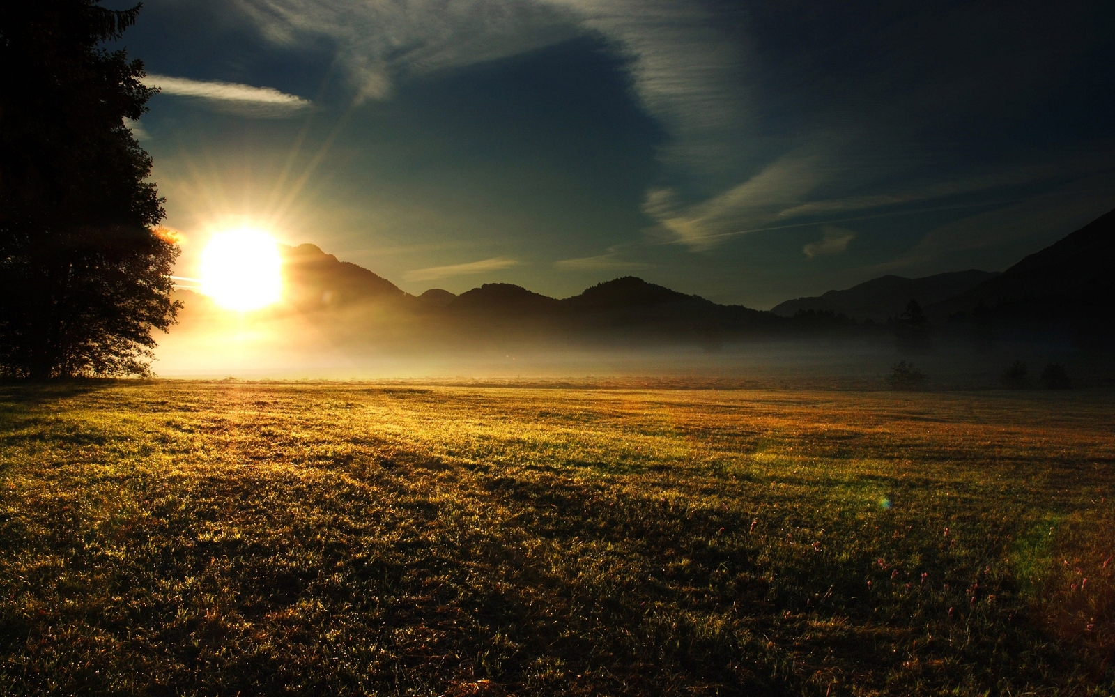 Landscape morning grass field nature mist sunset Custom Gaming Mat Desk