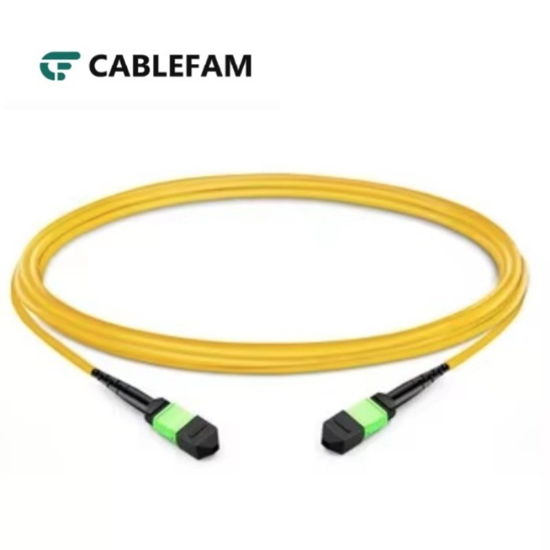 1M/2M/3M/5M/10M 12F MTP Female-Female Trunk B LSZH 2.0mm OS2 Cable 