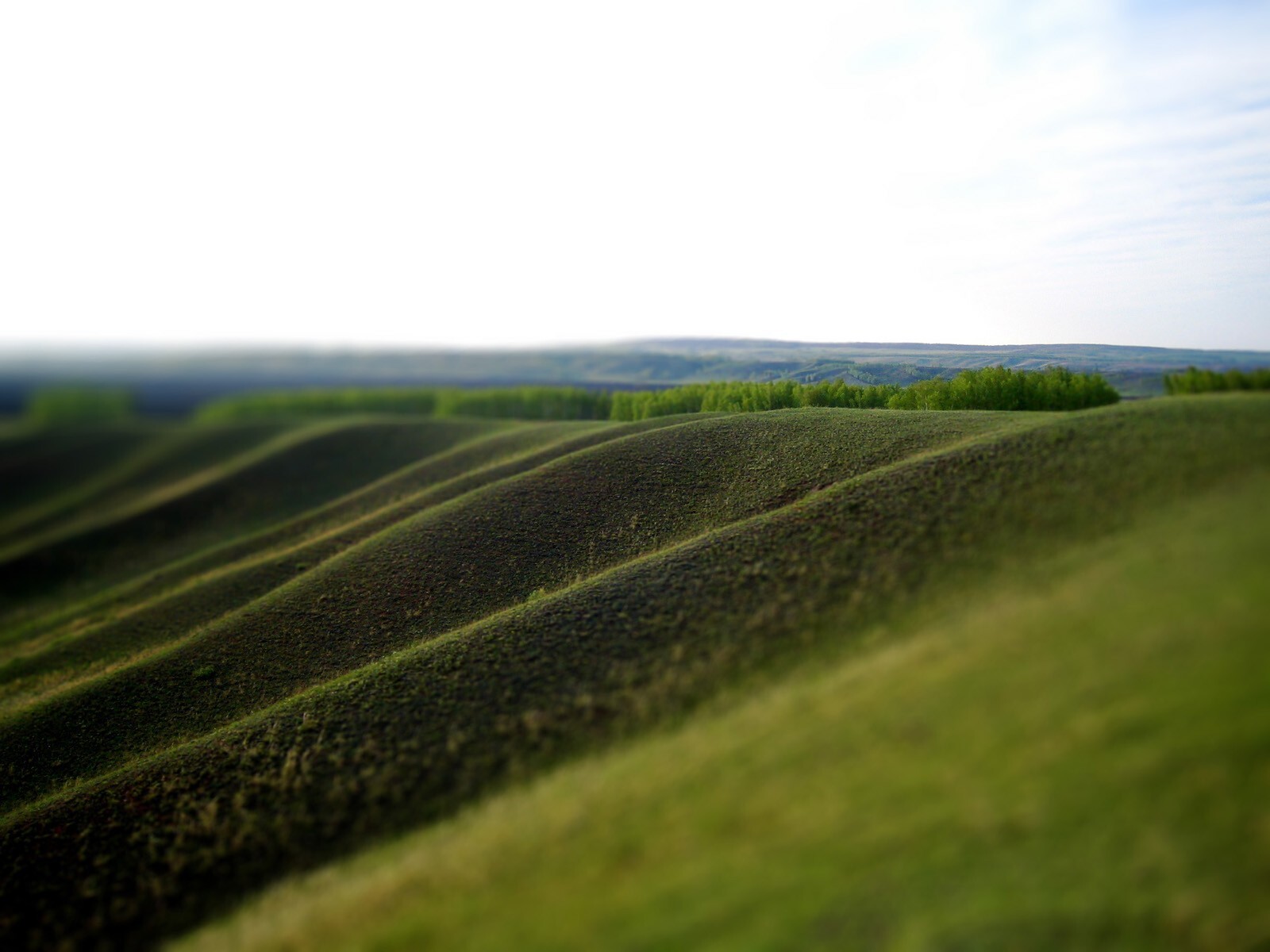 Landscape tilt shift nature Custom Gaming Mat Desk
