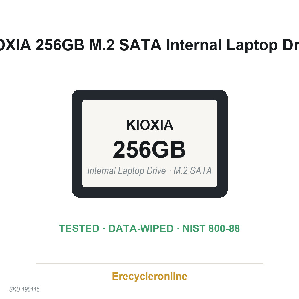 KIOXIA 256GB M.2 SSD KBG40ZNS256G NVMe