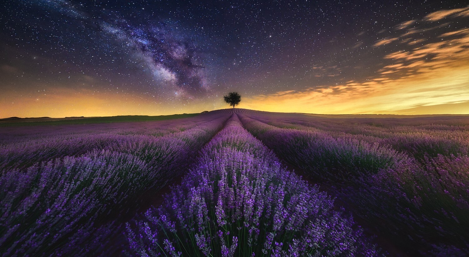 Landscape photography nature lavender field flowers Custom Gaming Mat Desk