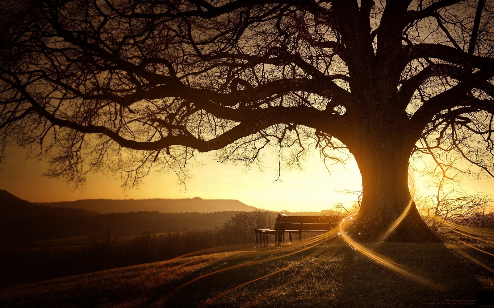 Landscape trees sunset bench art outdoors sunlight dark Custom Gaming Mat Desk