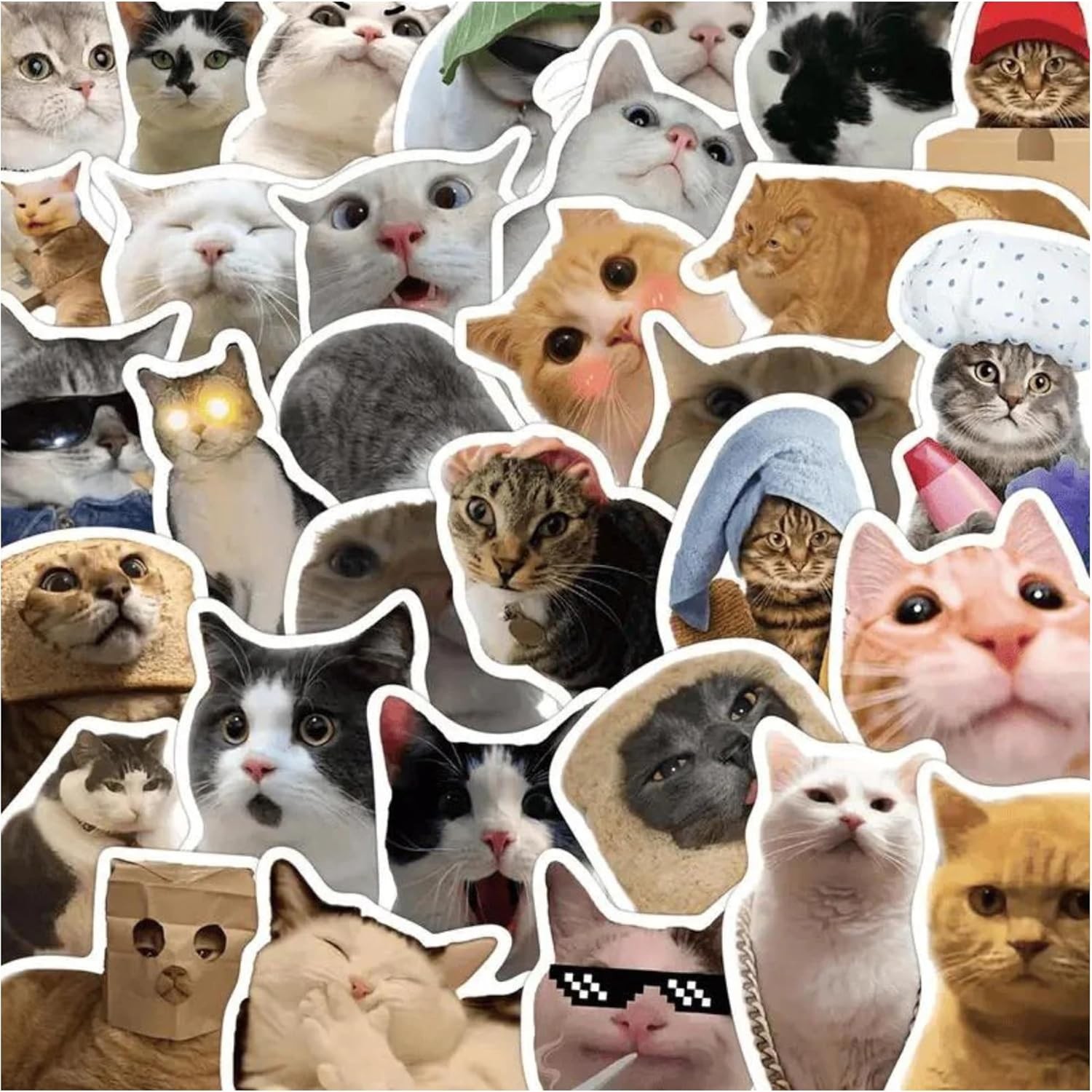 Cat Stickers,Funny Meme, Kawaii for Adults,Waterproof Vinyl Funny Cats 