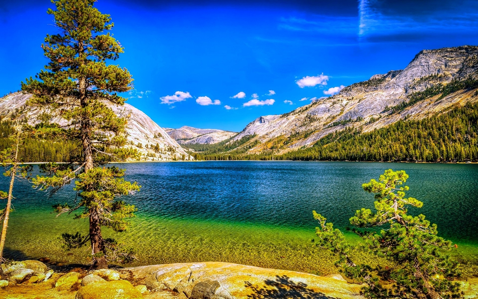 Landscape nature lake mountains forest summer trees blue Custom Gaming Mat Desk