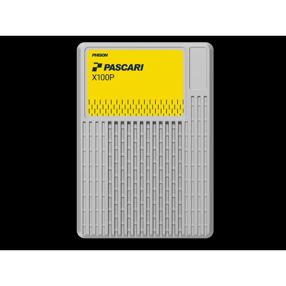 Phison PASCARI D100P E1.S 480GB PCIe Gen4 Data Center High-Speed Non-SED SSD | S