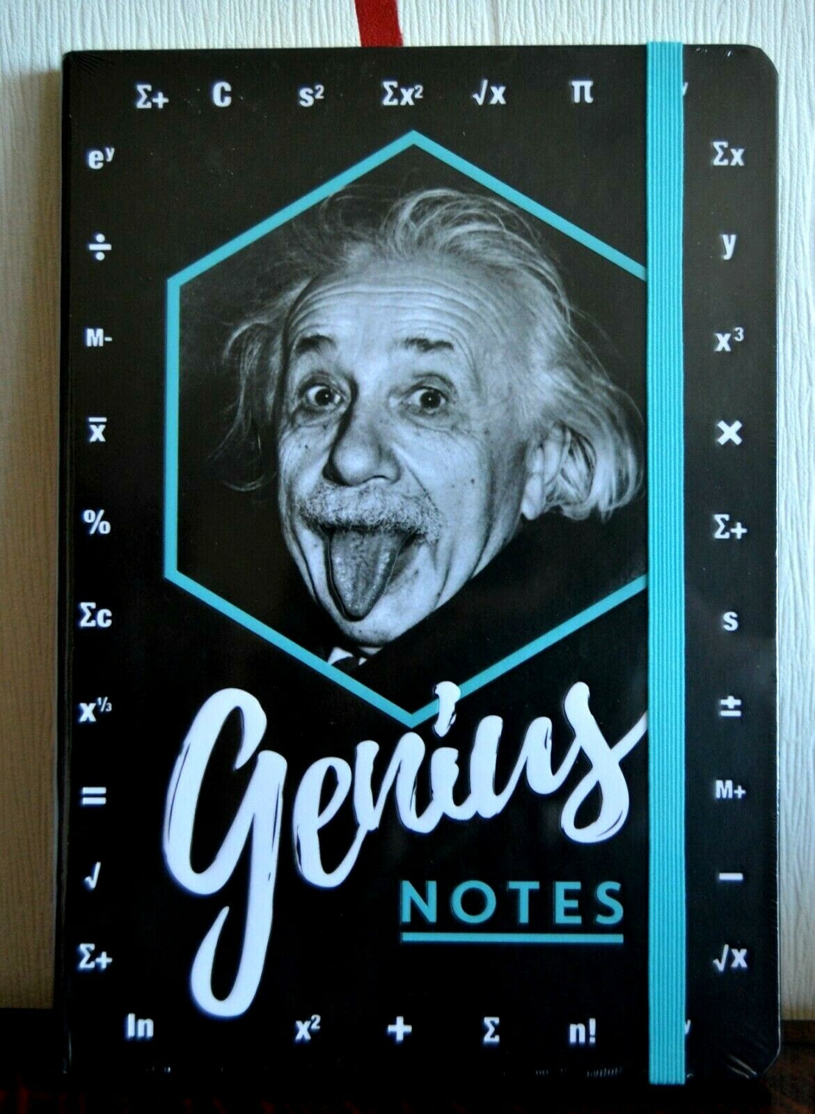 Nostalgic Art NOTEBOOK "EINSTEIN - GENIUS NOTES", A5, 128 pages, New
