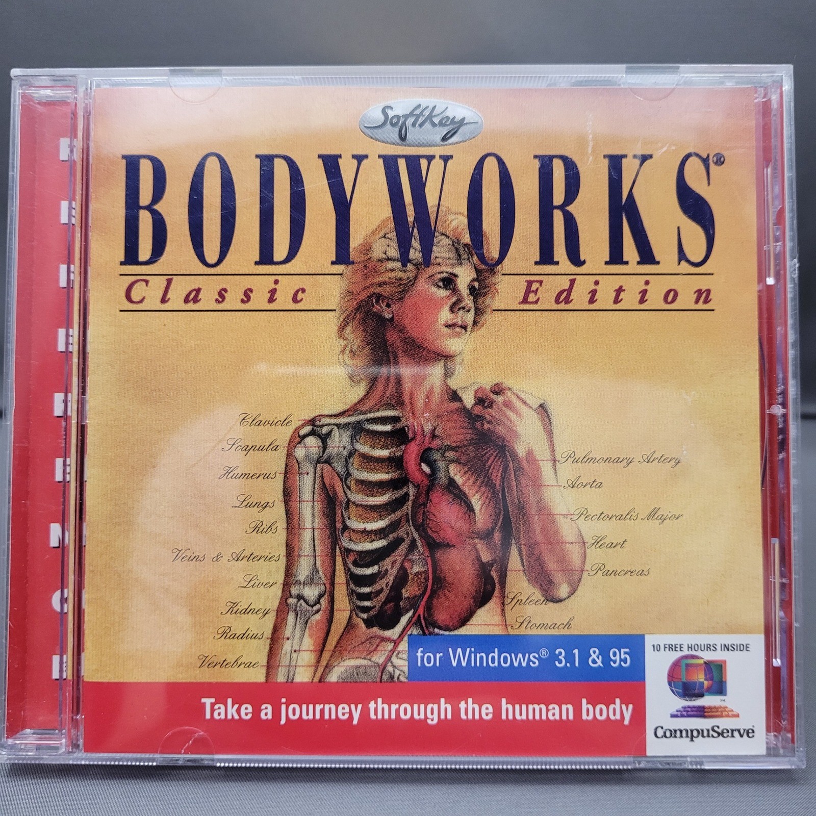 Bodyworks Classic Edition by SoftKey (CD-ROM, 1996)