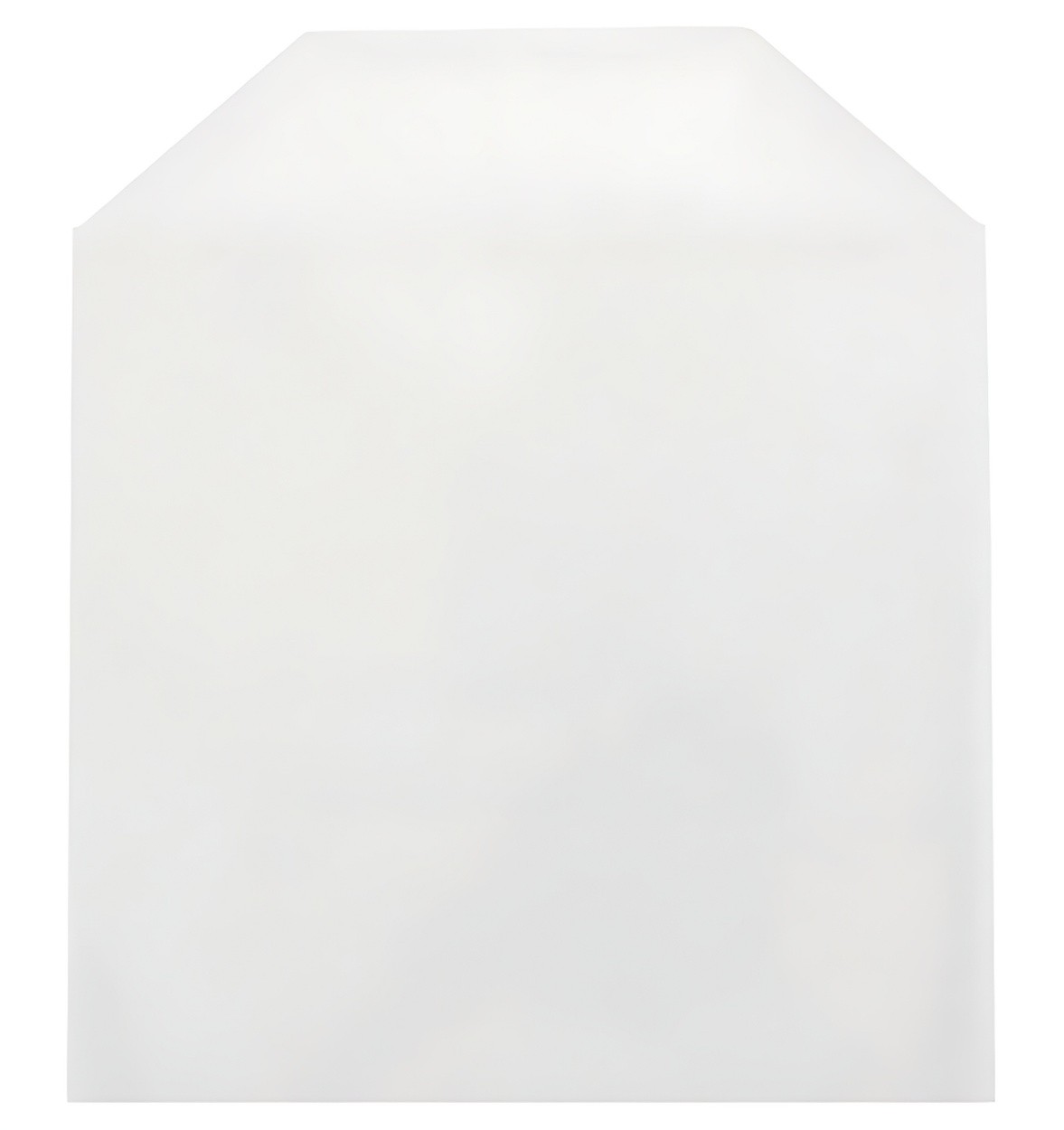 CPP Clear Plastic Sleeve with Flap  (No Stitches) Lot