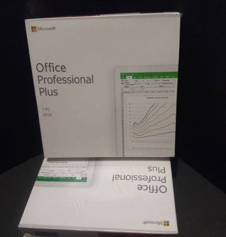 Microsoft Office Professional Plus 2019 DVD New Sealed Retail Package 1 PC