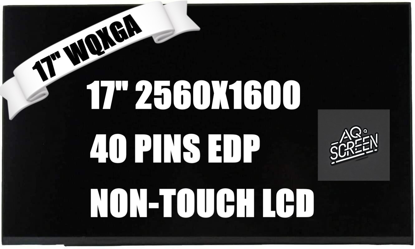 New 240hz Display for MSI RAIDER GE78HX 13VH MS-17S1 17" WQXGA LCD LED Screen