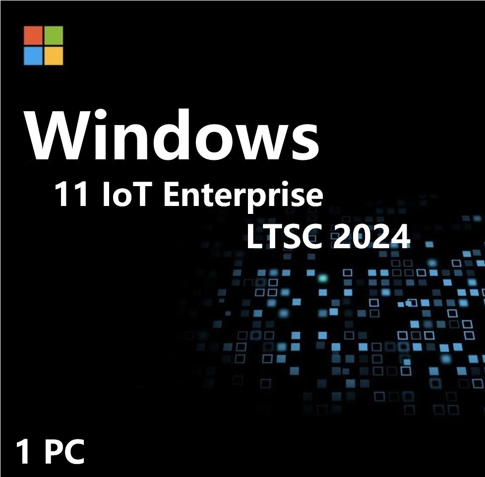 Windows 11 IoT Enterprise LTSC 2024 High End 1 PC  Use For Single Device ✔ USB