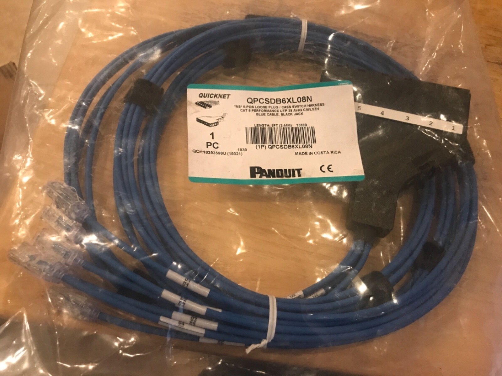 PANDUIT (CAT 6) 6-POS CASS SWITCH HARNESS UTP, 28 AWG, 8FT CM/LSZH