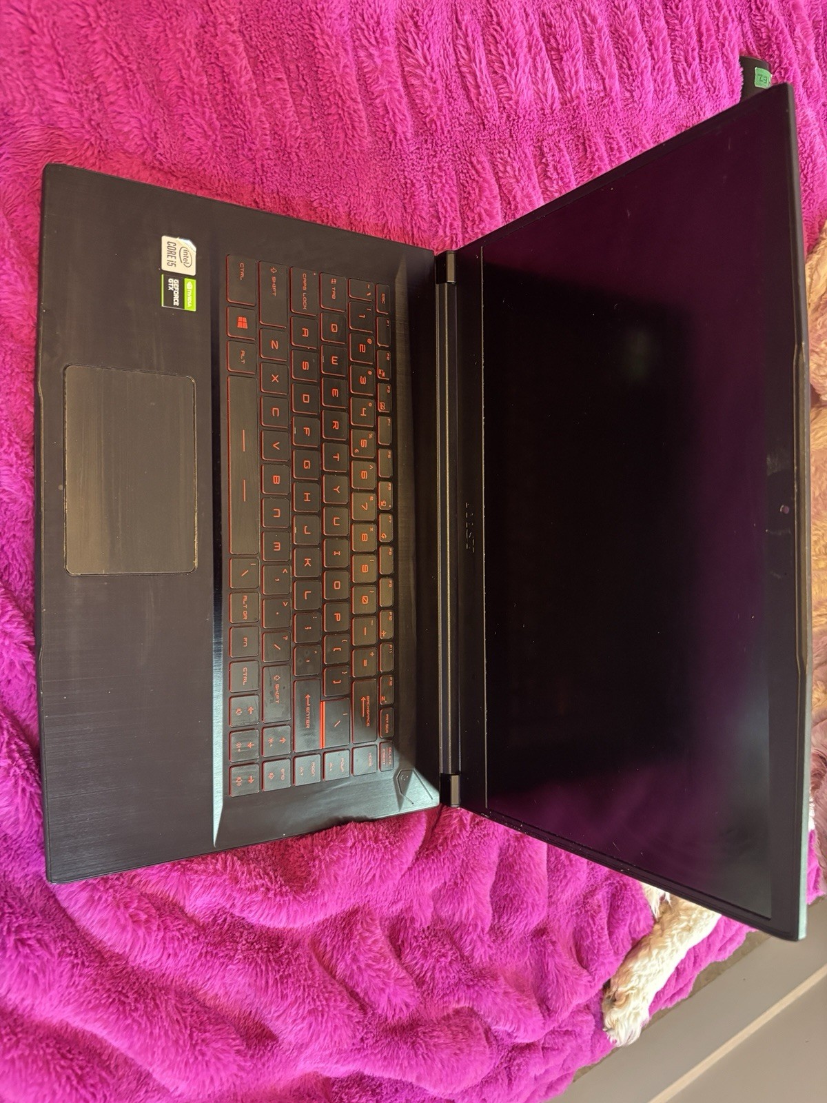 MSI GF63 Thin 15.6" Gaming Laptop i5 9th Gen GTX 1650