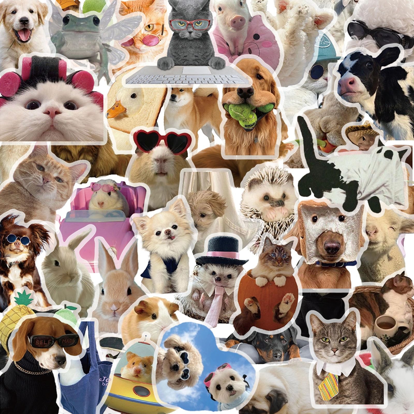 50PCS Transparent Cute Animal Stickers, Funny Cat and Dog Stickers for Brown 