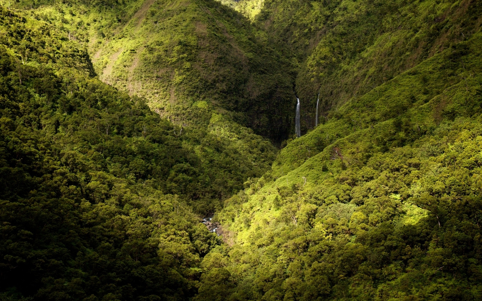 Landscape nature mountains forest waterfall spring kauai Custom Gaming Mat Desk