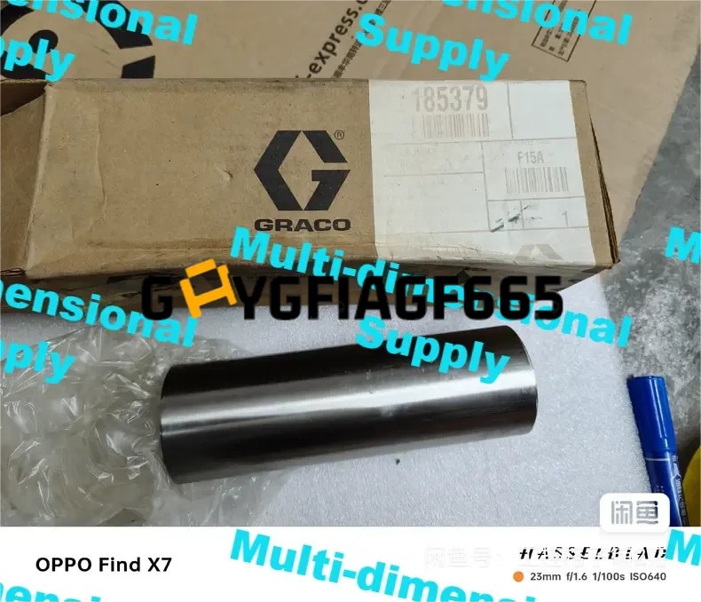 1PCS NEW GRACO 185379 ️️ Via DHL/UPS/FeDEX