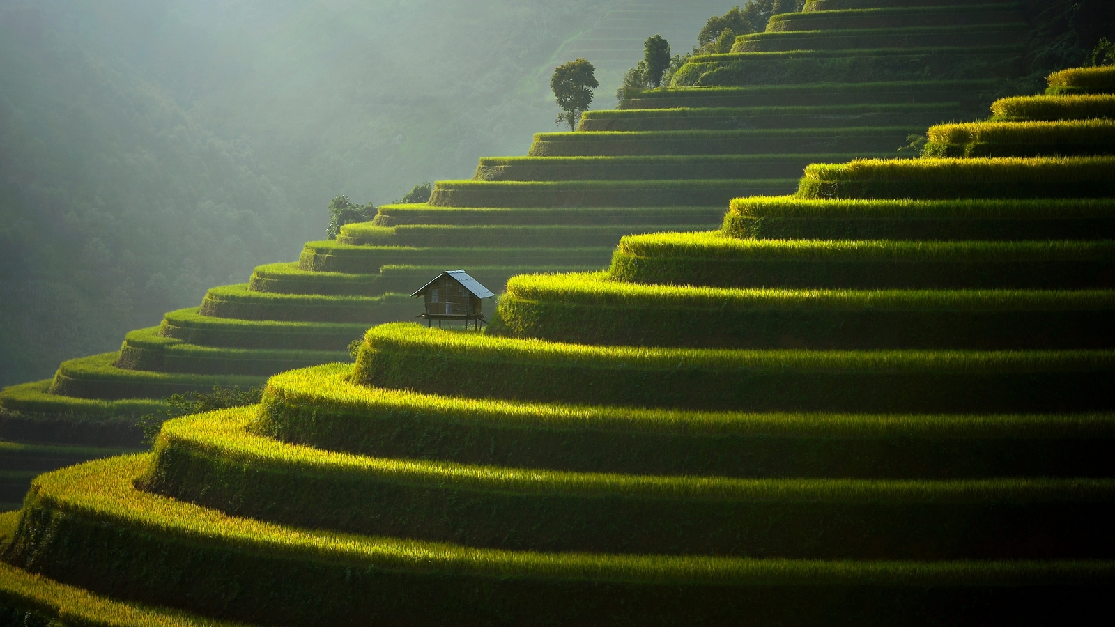 Landscape agro field hut rice terrace terraced Custom Gaming Mat Desk