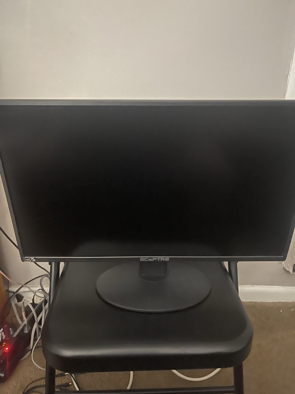 Sceptre 24" Inch Monitor