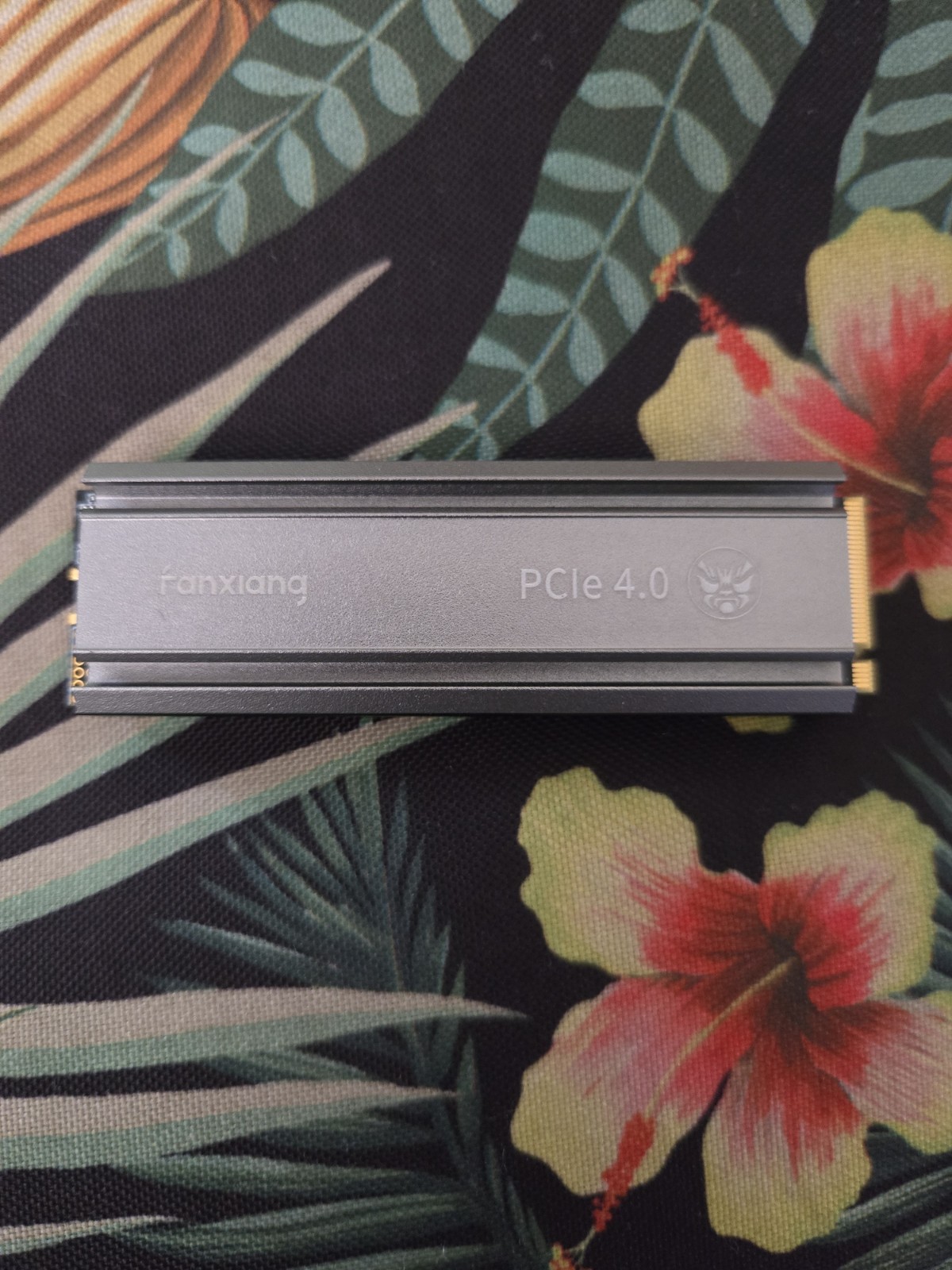 Fanxiang S660 Pcle 4.0
