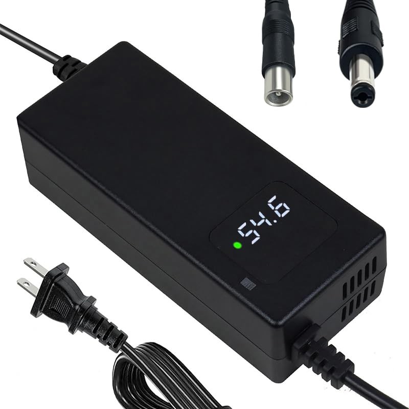 YANGZIDIANYUAN 54.6V 2A Battery Charger For 48V Li-ion Batteries YZ100