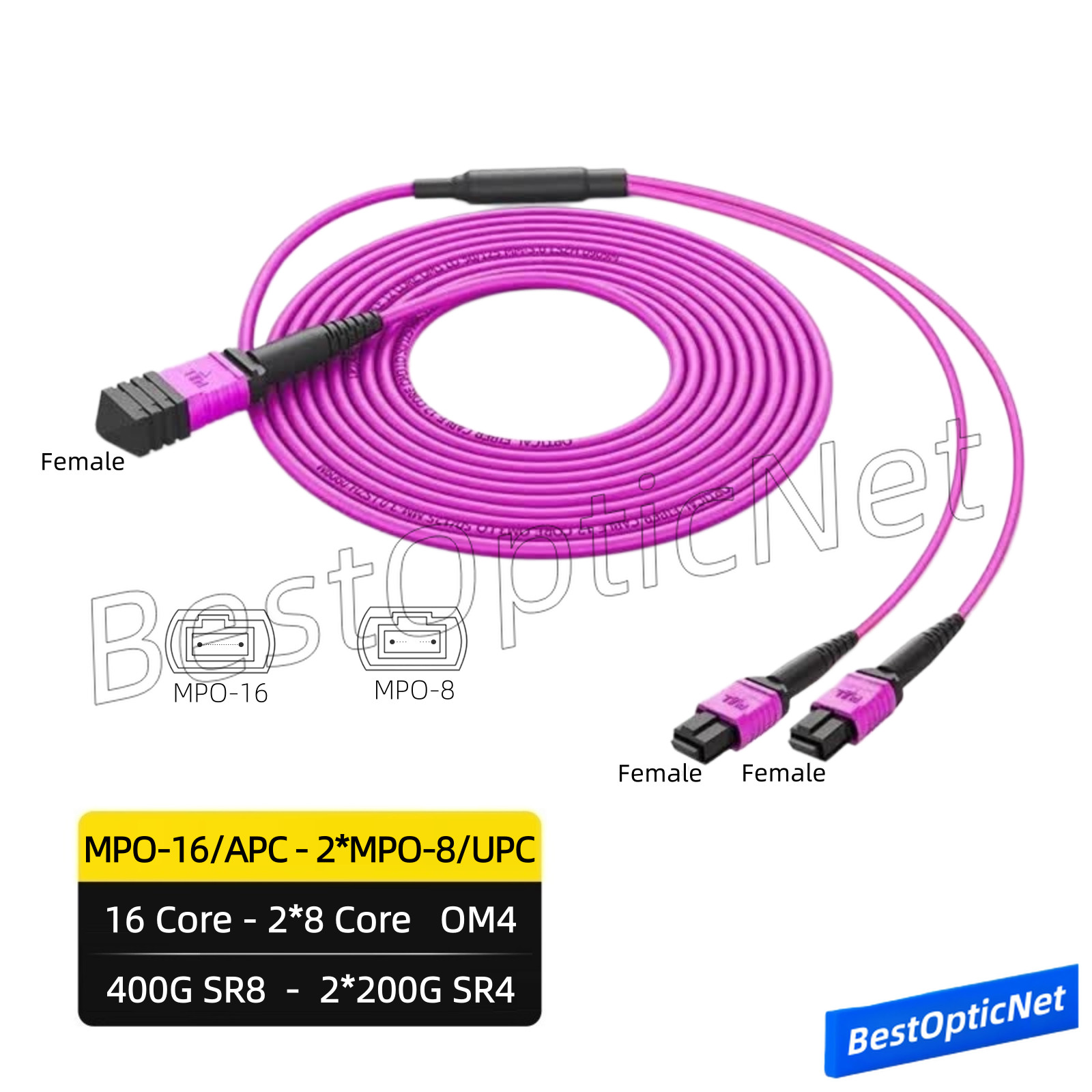 MPO-16 APC to MPO-8 UPC Female 16 Core OM4 Fiber Optic Patch Cord 400G to 2*200G