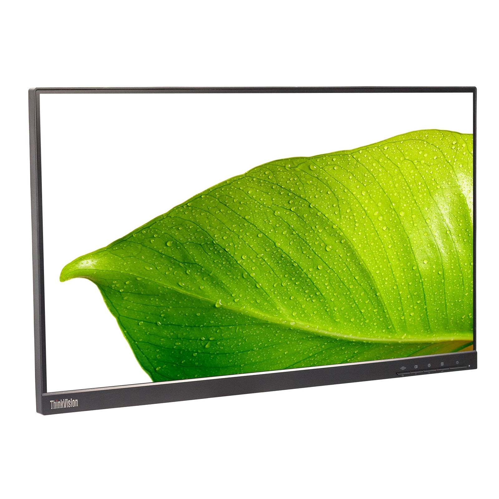 Lenovo ThinkVision T24i-20 24" Widescreen 1920x1080 LED IPS Monitor ONLY Grade B