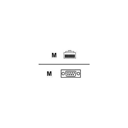 Digi RJ45 to DB9 Cable - RJ-45 Male - DB-9 Male - 4ft (76000240)