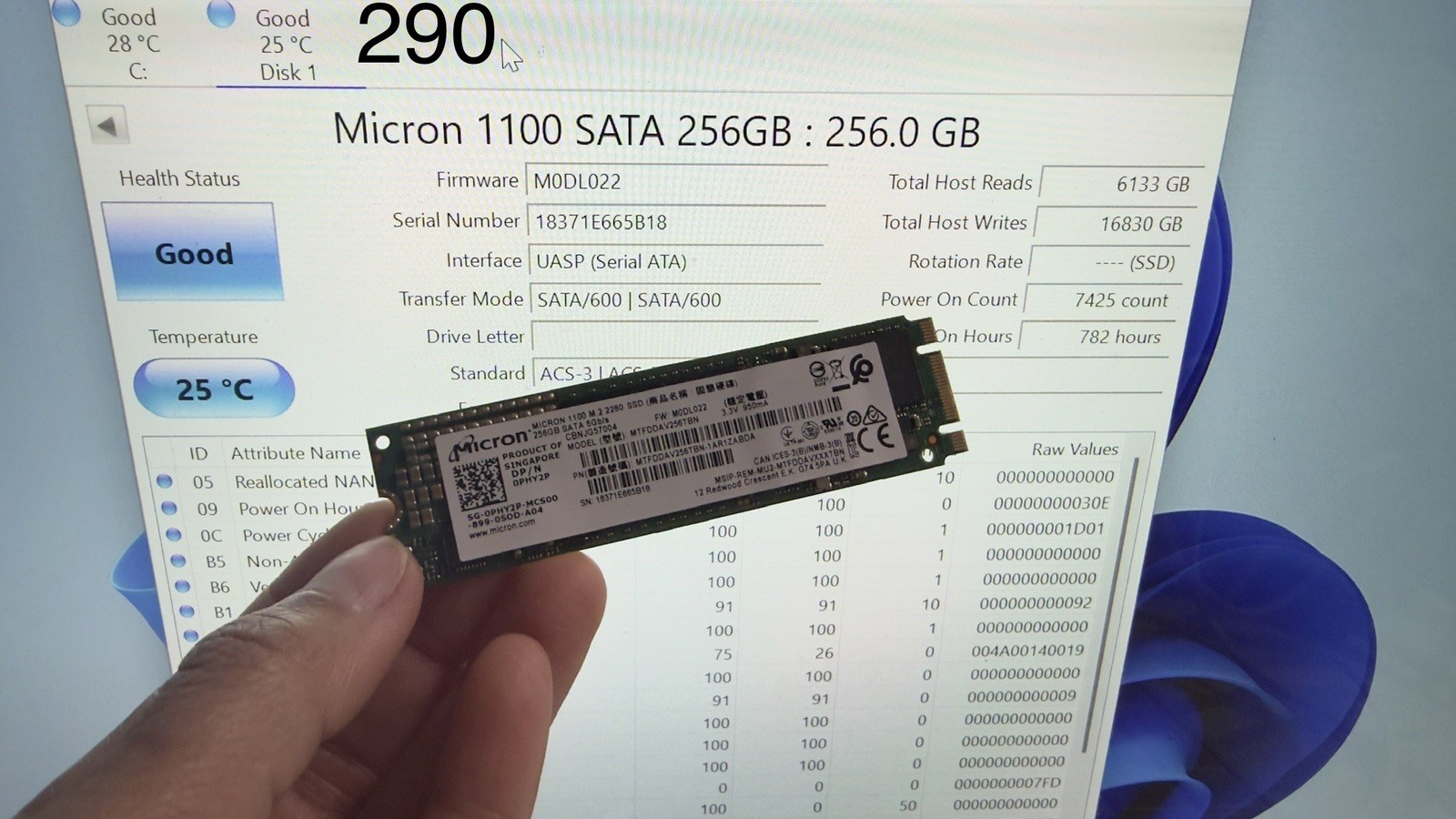 OEM Micron 1100 256GB M.2 2280 SATA SSD MTFDDAV256TBN Usage 782 Hours