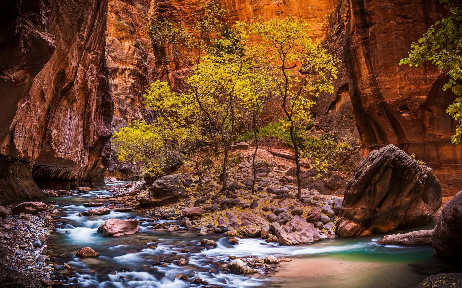 Landscape nature zion national park river canyon utah Custom Gaming Mat Desk