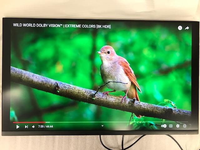 INCOMPLETE Dell P3223DE 31.5" QHD IPS USB-C Hub Monitor 2560x1440 90W HDMI DP