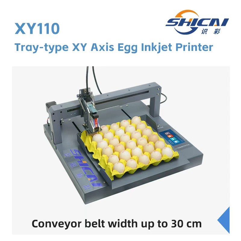 Automatic Tray Egg Inkjet Printer for Printing Date Stamp on Poultry Eggs