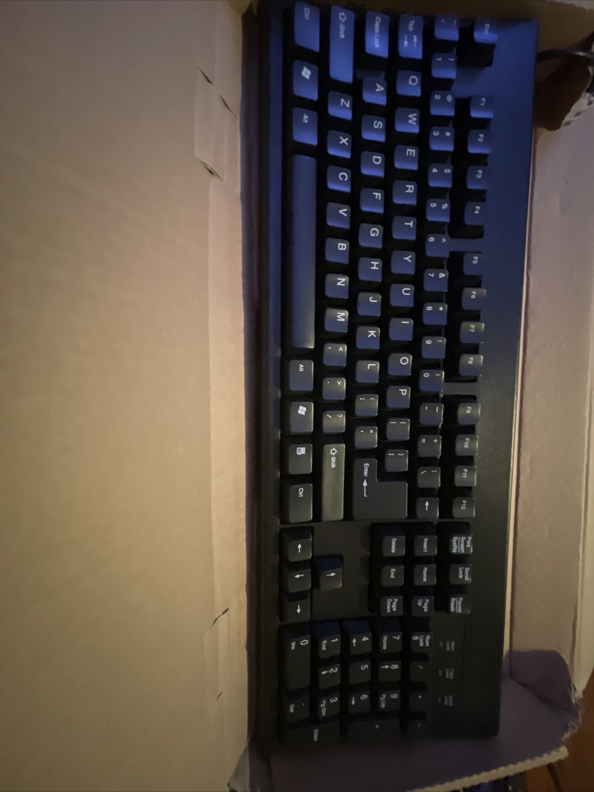 Chicony KB-2961 Wired Keyboard