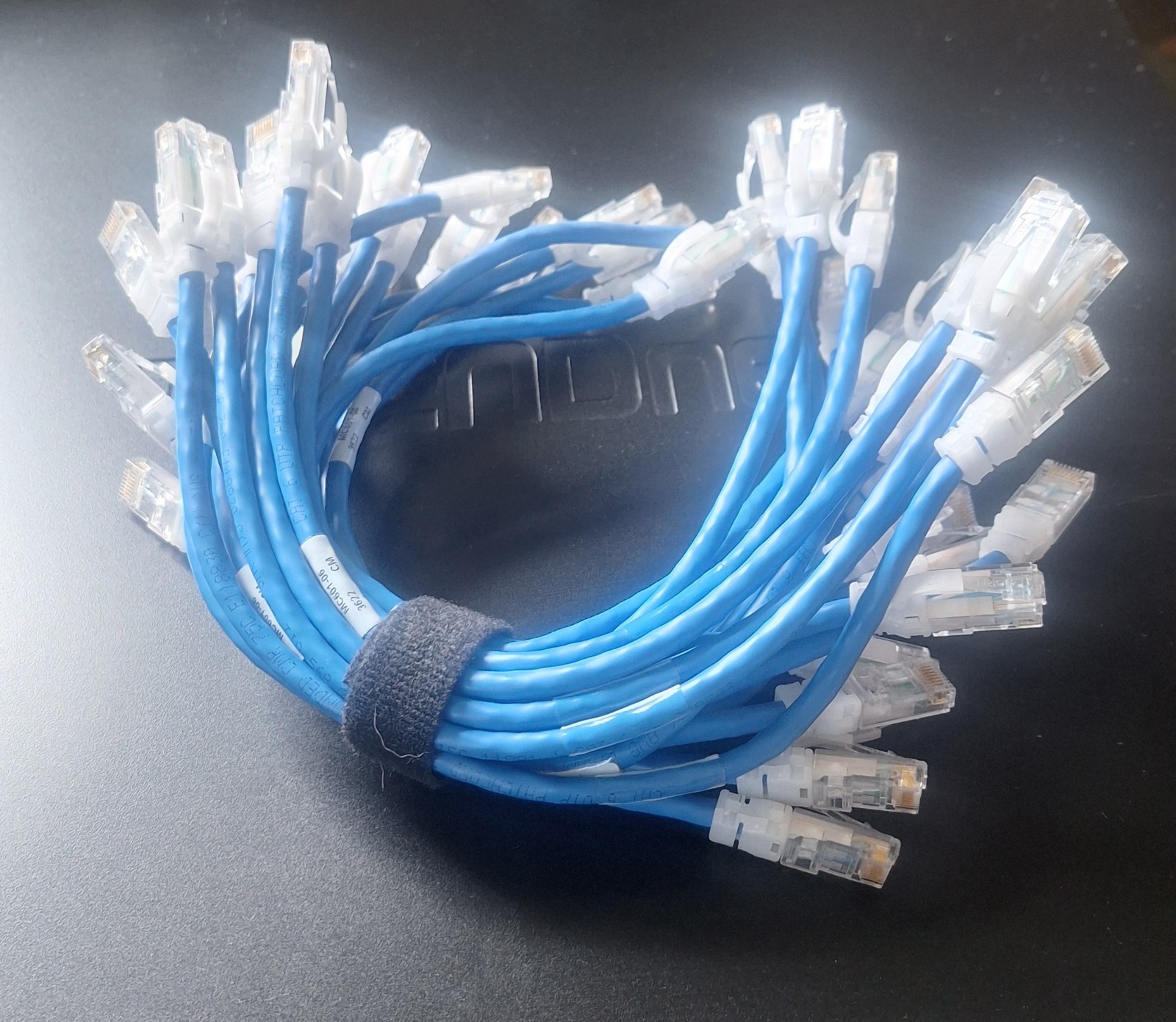 Lot of 23 Legrand Ortronics MC601-06 Clarity Cat6 1ft Blue Patch Cables