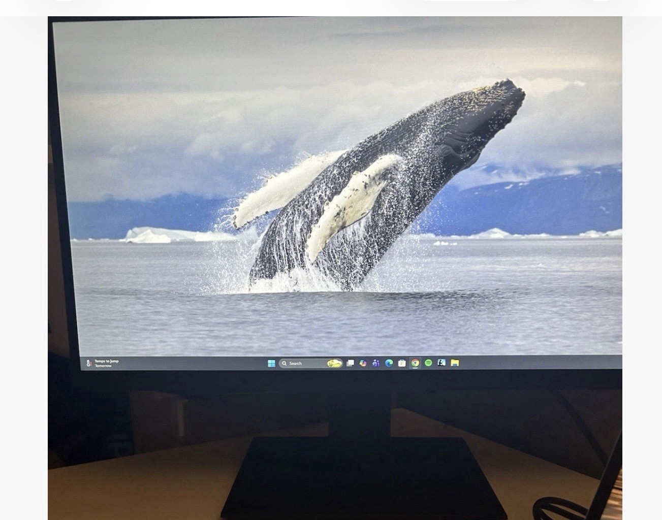 KOORUI 22N1 21.5 Inch Monitor Black MB21V13F9 VGA D-Sub HDMI New In Box