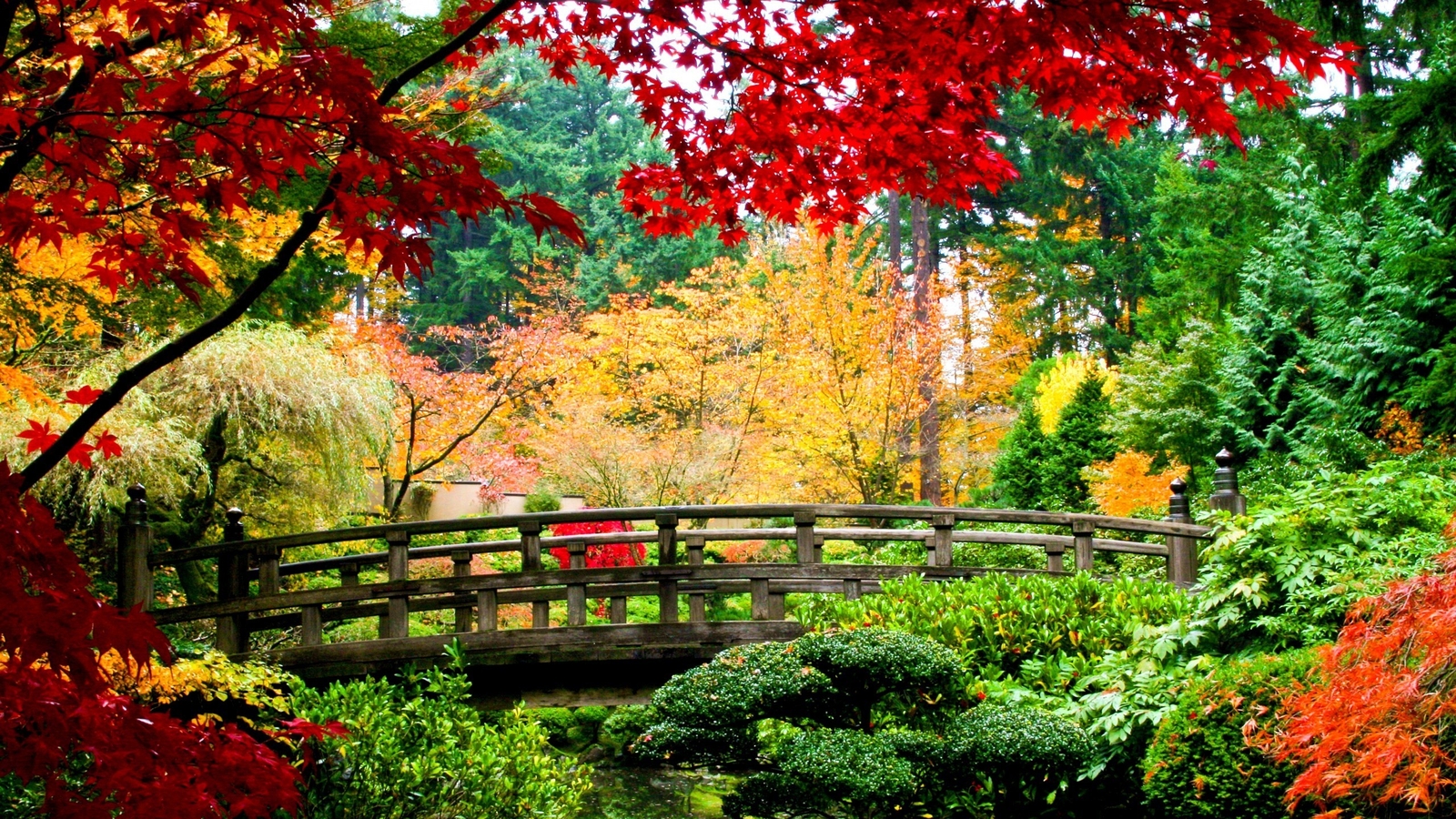 Landscape park plants fall leaves colorful bridge Custom Gaming Mat Desk