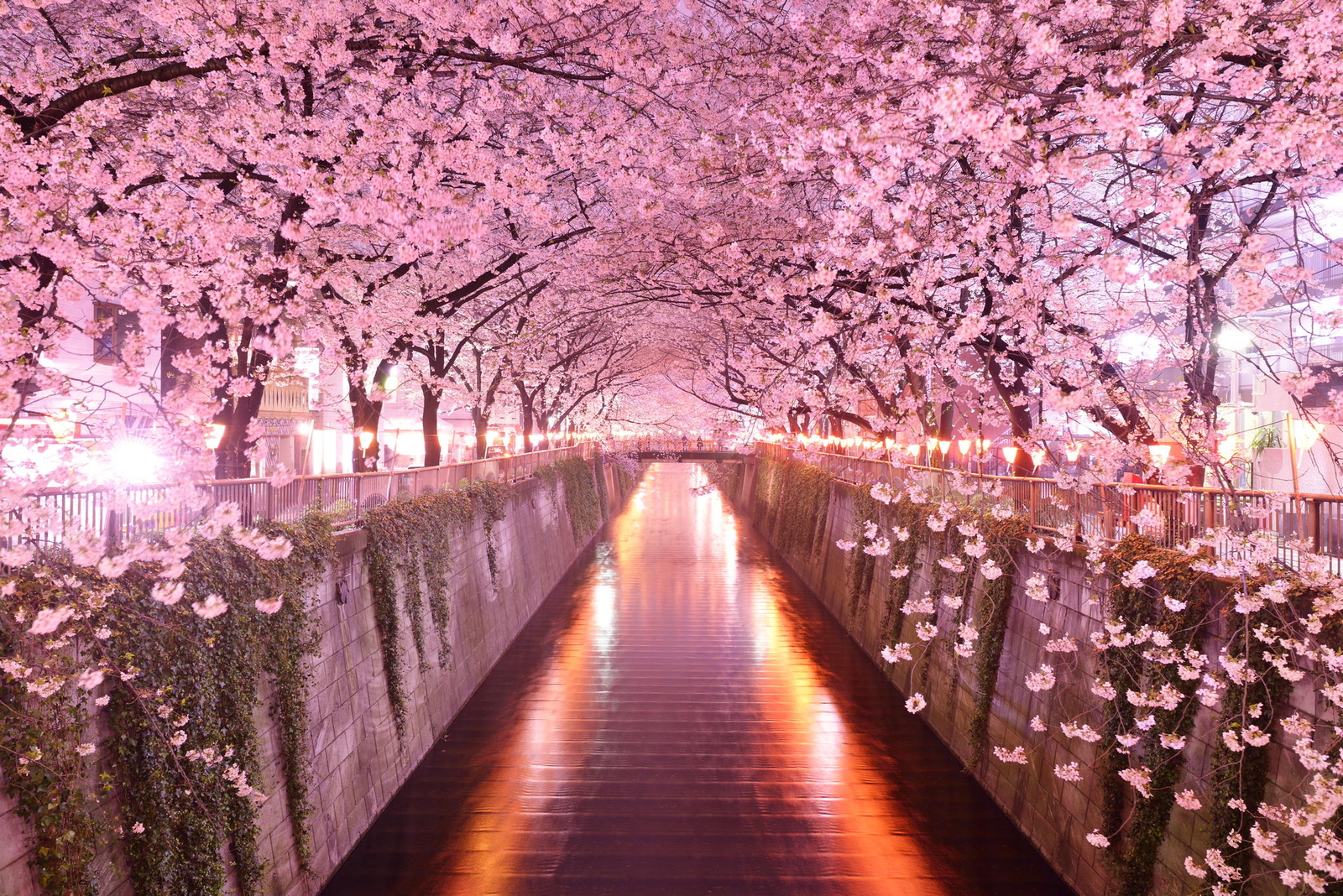 Landscape japan architecture cherry Custom Gaming Mat Desk