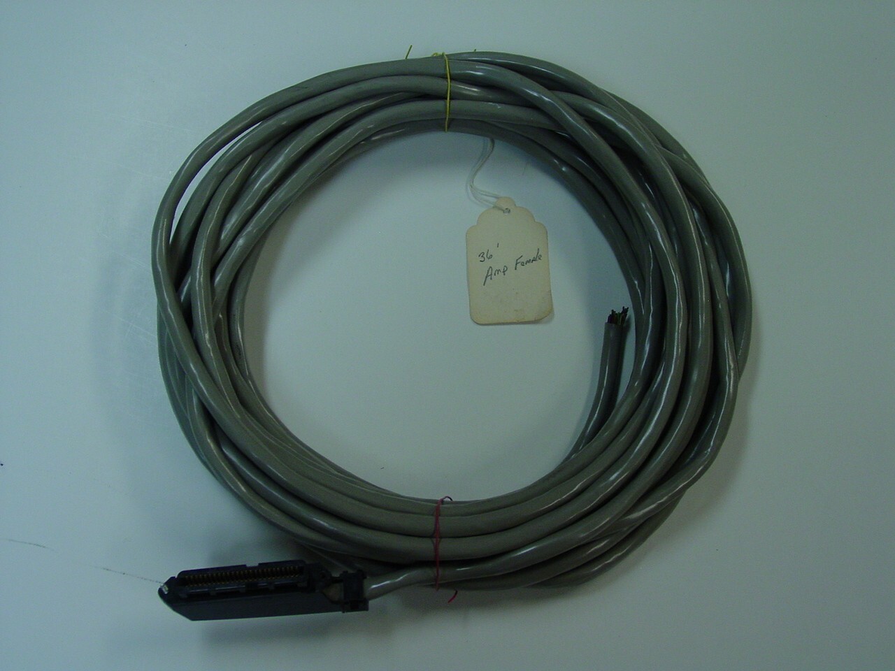 25 pr. cable with female amphenol connector 36 ft.