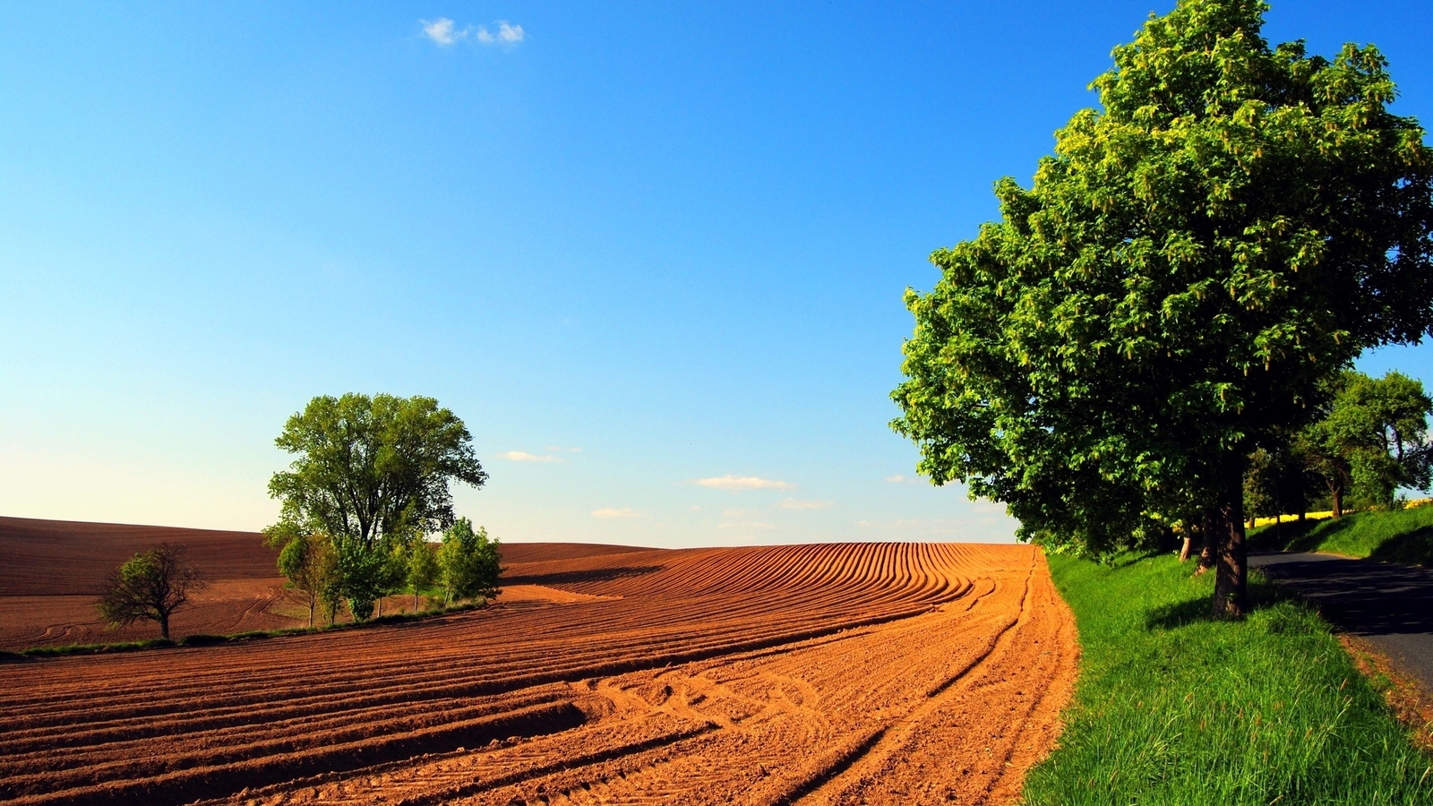 Landscape field sky road trees grass dirt clear sunlight Custom Gaming Mat Desk